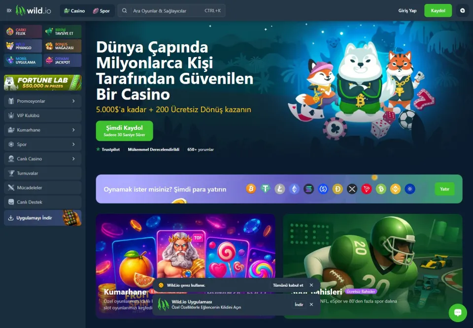 Wild.io: Home page (wild.io)